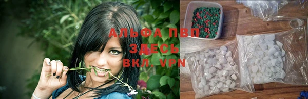 мдпв Новозыбков