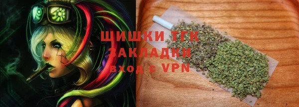 МДПВ Нея
