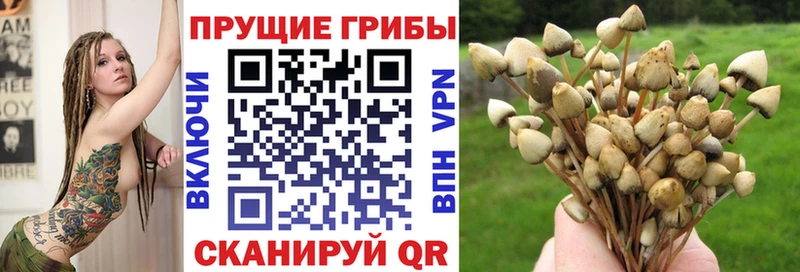 Псилоцибиновые грибы MAGIC MUSHROOMS Черемхово